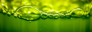 Deep Green Biotech Hub banner