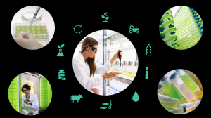 Graphic for the Algae Innovation Challenge