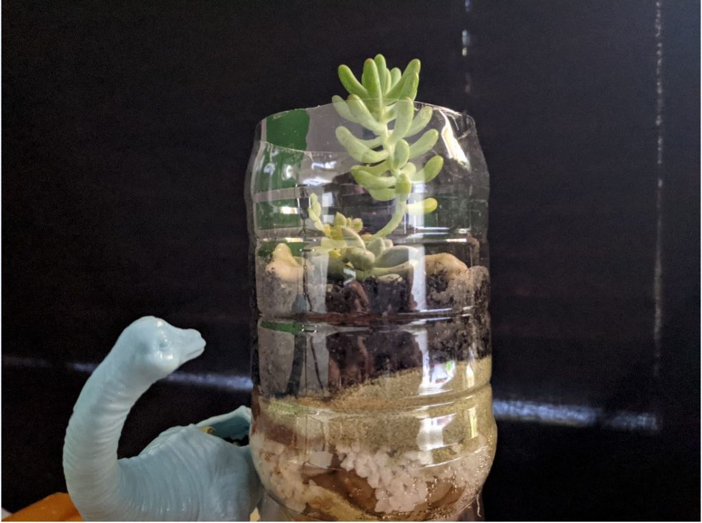 Scientist, soil promo