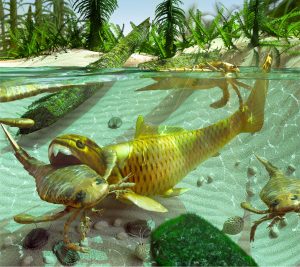 Devonian sea