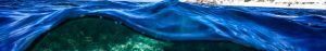 Ocean banner