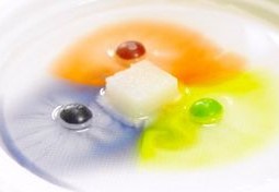 Fizzics Kitchen Chemistry