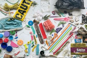 Pollution Detectives Sea Bins ANMM