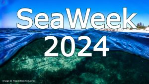Seaweek 2024 promotional image