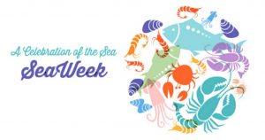 Seaweek banner
