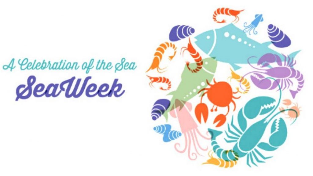 Seaweek banner