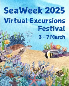 Seaweek 2025