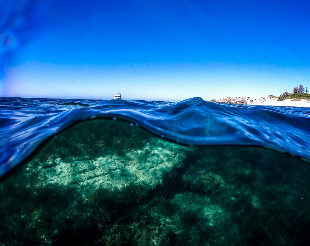 Under the sea thumbnail