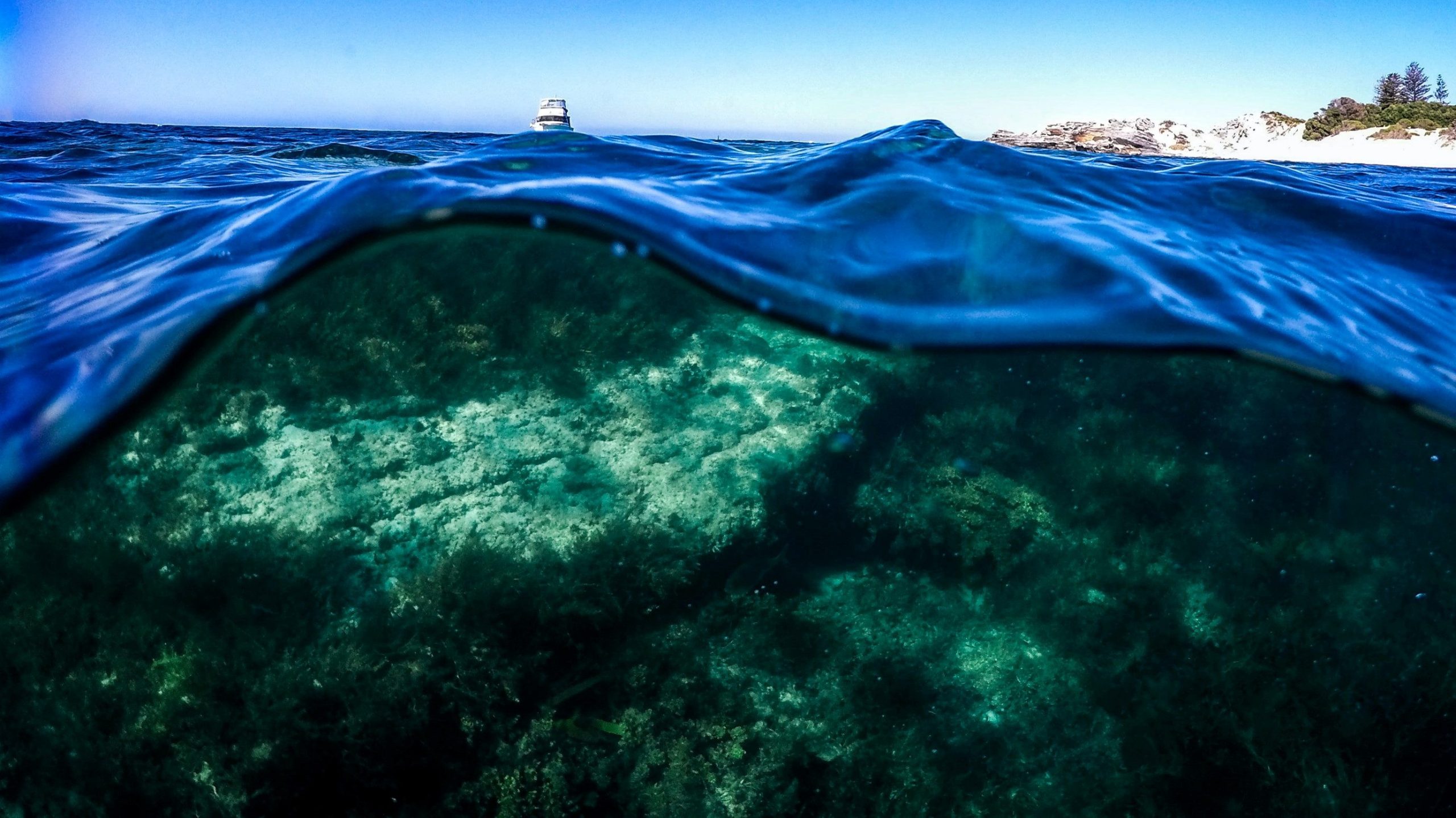 Under the sea thumbnail