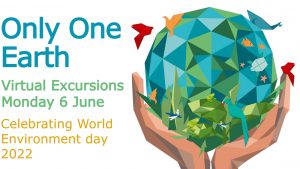 World Environment Day graphic 2022 no logos
