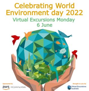 World environment day graphic square
