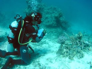 Lizard Island Research Station