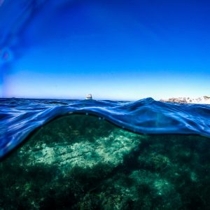 Under the Sea